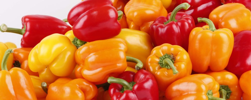 paprika-1566052-min